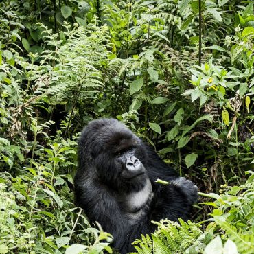 Roteiro de viagem em Ruanda